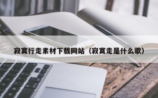 南城寂寞行走素材下载网站（寂寞走是什么歌）